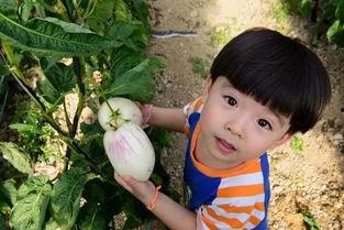 泰娱的瓜可太有嚼头了娱乐吃瓜酱,吃瓜酱带你揭秘娱乐圈最新猛料  第2张